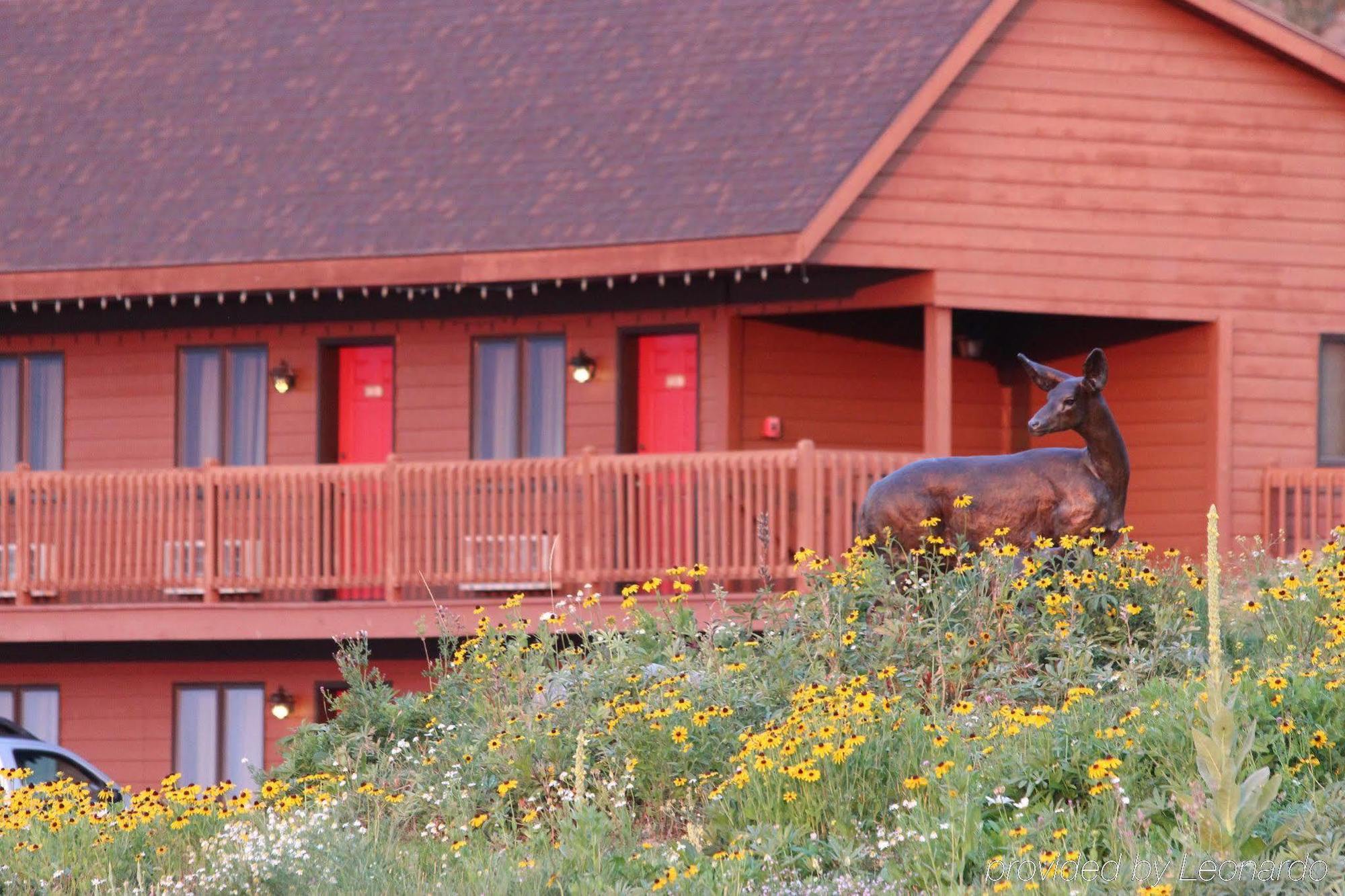 Flat Creek Inn Τζάκσον Εξωτερικό φωτογραφία